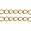 Iron Side Twisted Chains CH-S088-G-LF-1