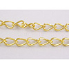 Iron Twisted Chains CH017-G-1
