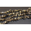 Natural Smoky Quartz Chips Beads Strands F037-1