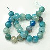 Natural Agate Beads Strands G-G045-12mm-6-2