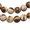 Natural Australia Zebra Stone Beads Strands G-H1256-1-1