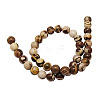 Natural Australia Zebra Stone Beads Strands G-H1256-1-2