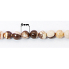 Natural Zebra Jasper Beads Strands G-Q647-2