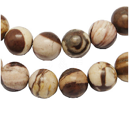 Natural Australia Zebra Stone Beads Strands G-H1256-1-1