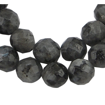 Natural Larvikite Beads Strands G865-102-1