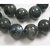 Natural Larvikite Beads Strands GSR14mmC128-1