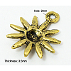 Tibetan Style Alloy Pendants K0910031-3
