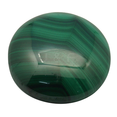 Natural Malachite Cabochons MALA-20D-6-1
