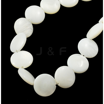 Natural Shell Beads Strands PBB-XXBK027Y-13-1
