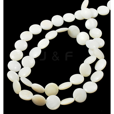 Natural Shell Beads Strands PBB-XXBK027Y-13-1