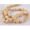 Erose Natural Shell Beads Strands SH012-2