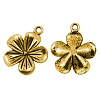 Tibetan Style Pendants TIBEP-LF10734YKG-AG-LF-1
