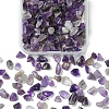 50G Natural Amethyst Chip Beads G-YW0001-61-1