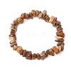 Natural Picture Jasper Beads Stretch Bracelets for Men Women BJEW-JB11845-2