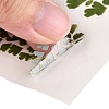 Waterproof Plastic Self Adhesive Stickers DIY-F064-13F-3