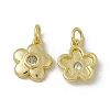 Rack Plating Brass Cubic Zirconia Charms KK-C007-23G-03-1