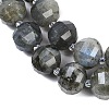 Natural Labradorite Beads Strands G-G182-B02-07-4