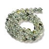 Natural Prehnite Beads Strands G-G474-A01-8mm-3
