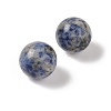 Natural Blue Spot Jasper No Hole Sphere Beads G-K353-04D-14-2