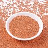 MIYUKI Round Rocailles Beads SEED-G007-RR0424-2