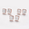 Natural Howlite Stud Earrings EJEW-F139-A07-1