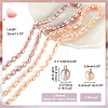 2 Strands 2 Styles Natural Cultured Freshwater Pearl Beads Strands PEAR-GA0001-03-2