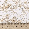 MIYUKI Round Rocailles Beads X-SEED-G009-RR1133-4