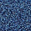 MIYUKI Round Rocailles Beads X-SEED-G007-RR1025-3
