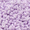 Glass Seed Beads SEED-K009-02B-06-3