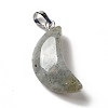 Natural Labradorite Pendants G-Z022-05C-2