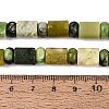 Natural Serpentine Beads Strands G-Q616-09H-5