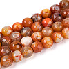 Dyed & Heated Natural Fire Crackle Agate Beads Strands G-N359-01A-06-2