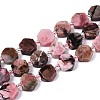 Natural Rhodonite Beads Strands G-P534-A16-02-4
