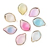 Gradient Color  Transparent Acrylic Pendants TACR-F009-09-1