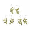 Dangle Earrings EJEW-E255-A11-2