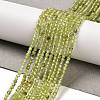 Natural Peridot Beads Strands G-B107-A06-01-1