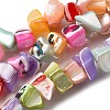 Natural Trochid Shell/Trochus Shell Beads Strands SHEL-B003-02L-1
