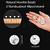 Natural Howlite Beads Strands G-AR0001-96-2