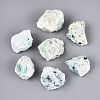 Natural Chrysocolla Geode Cornucopia Mineral Specimen G-N347-13H-2