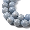 Natural Angelite Beads Strands G-G840-03-10mm-4