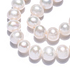Natural Cultured Freshwater Pearl Beads Strands PEAR-N016-06B-5