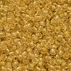TOHO 6/0 Round Beads SEED-XTR06-2151-3