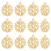 12Pcs Brass Pendants KK-UN0005-08-1