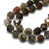 Natural Petrified Wood Beads Strands G-I376-A30-01-3