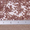 MIYUKI Delica Beads X-SEED-J020-DB0913-4