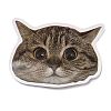 50 Sheets Paper Cat Stickers STIC-Q002-07-2