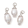 Natural Cultured Freshwater Pearl Pendants PALLOY-JF05555-1