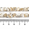 Natural Trochus Shell Beads Strands BSHE-H109-10-5