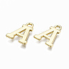 Alloy Charms PALLOY-Q441-025A-NR-3