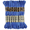 10 Skeins 6-Ply Polyester Embroidery Floss OCOR-CY0004-38H-1